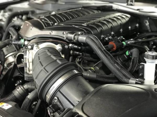 2019–2020 Ford Mustang Bullitt 5.0L Gen 6 3.0L Whipple Supercharger Stage 1 Package